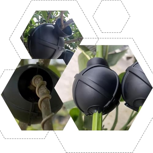HASTHIP® 6-Pack Plant Rooting Ball - Air Layering Propagation Ball - Reusable Rooting Pods for Plant Cloning - Garden Grafting Tools for Indoor/Outdoor Plants Growth - Eco-Friendly Gardening Tool Kit - Image 5