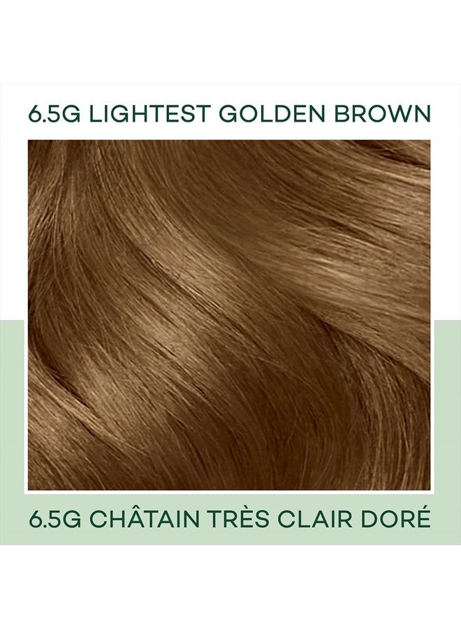 CLAIROL صبغة شعر ديمي دائمة من ناتشورال إنستينكتس، لون بني ذهبي فاتح 6.5G، عبوة واحدة - Image 3
