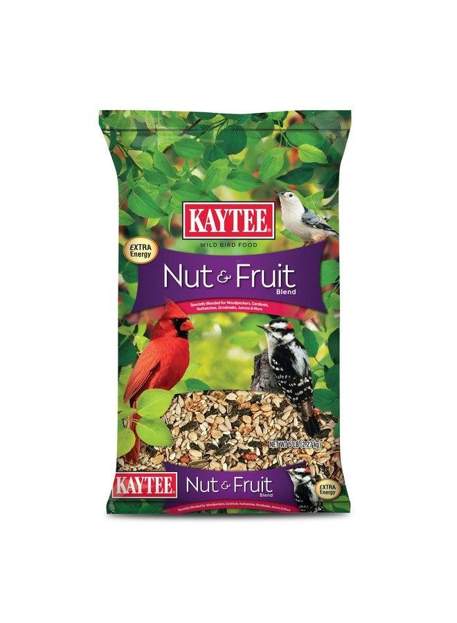كايتي بذور الطيور البرية من Kaytee Nut & Fruit، 5 رطل - Image 1