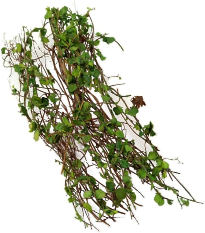 klarako Resin Vine Rattan Model  Scenery Model Miniature Plants for DIY Scenes - Image 5