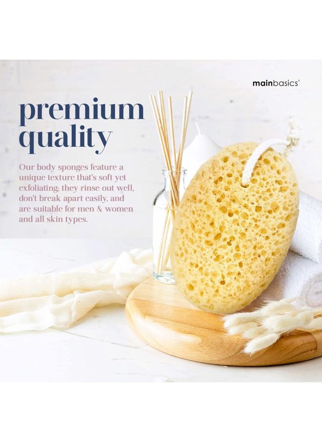 MainBasics - Faux Sea Bath Sponge - Large, Soft Exfoliating Body Sponge for Shower, Foam Loofah (2 Pack) - Image 1