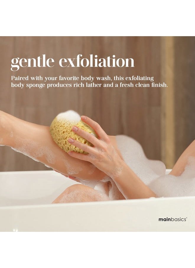 MainBasics - Faux Sea Bath Sponge - Large, Soft Exfoliating Body Sponge for Shower, Foam Loofah (2 Pack) - Image 1