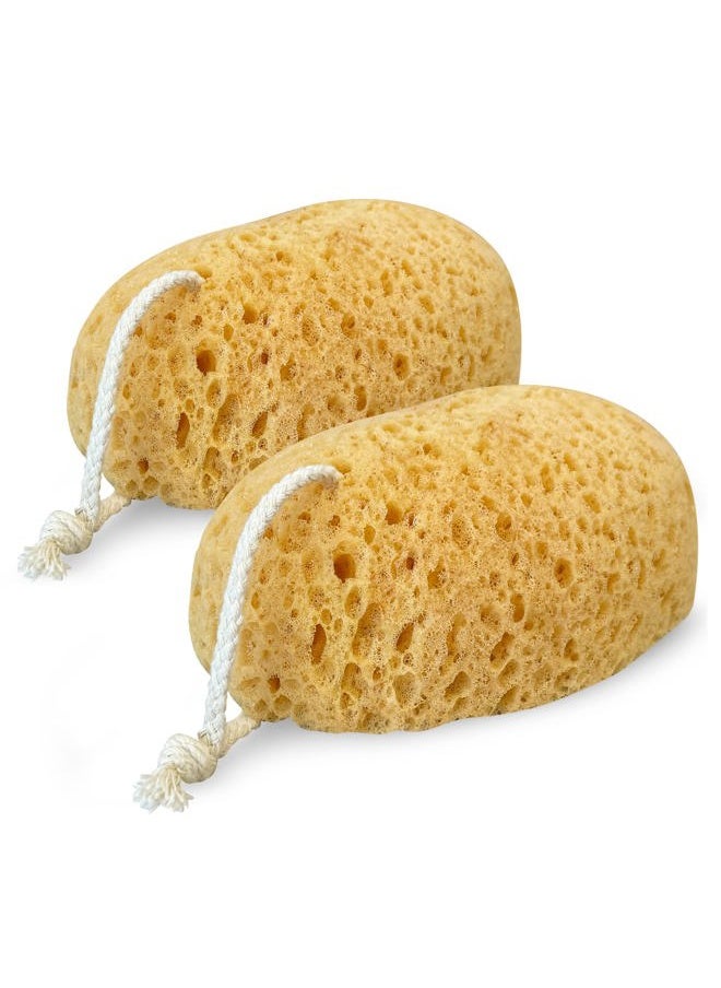 MainBasics - Faux Sea Bath Sponge - Large, Soft Exfoliating Body Sponge for Shower, Foam Loofah (2 Pack) - Image 1
