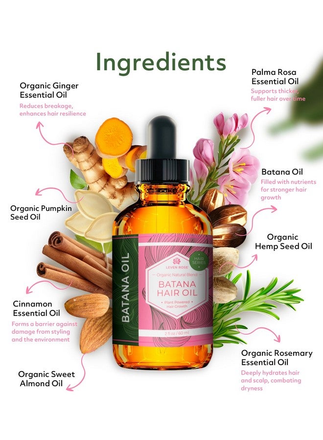ليفن روز زيت باتانا لنمو الشعر، مصل شعر عضوي 2 أونصة للأطراف المتقصفة والشعر الجاف التالف - Image 2
