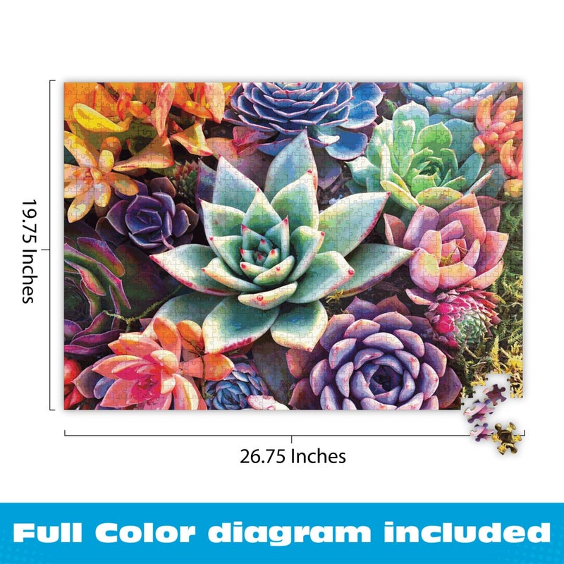 Buffalo Games - James Mertke - Simple Succulent - 1000 Piece Jigsaw Puzzle For Adults -Challenging Puzzle Perfect for Game Nights - Finished Size is 26.75 x 19.75 - Image 5