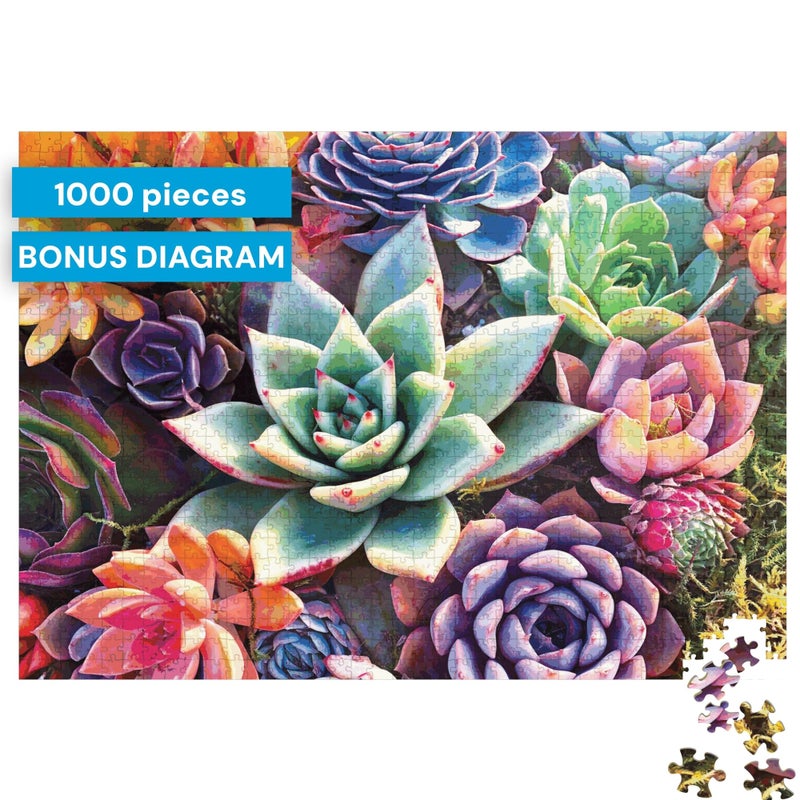 Buffalo Games - James Mertke - Simple Succulent - 1000 Piece Jigsaw Puzzle For Adults -Challenging Puzzle Perfect for Game Nights - Finished Size is 26.75 x 19.75 - Image 3