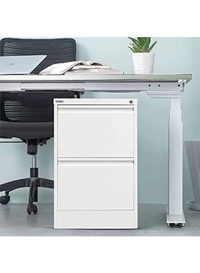 RIGID Steel Vertical Filing Cabinet Large Storage steel Cabinet, Metal Portable Cabinet with 2 Drawers - Image 1