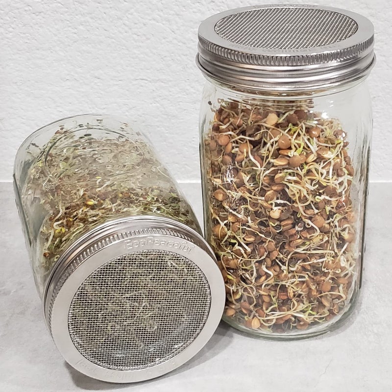 EcoPeaceful 2 Pack ONE-PIECE 316 Surgical Stainless Steel Sprouting Lids for Wide Mouth Mason Jar (Ball Kerr) - One-Piece- Strainer Mesh Lids - Rust-Proof - Image 3