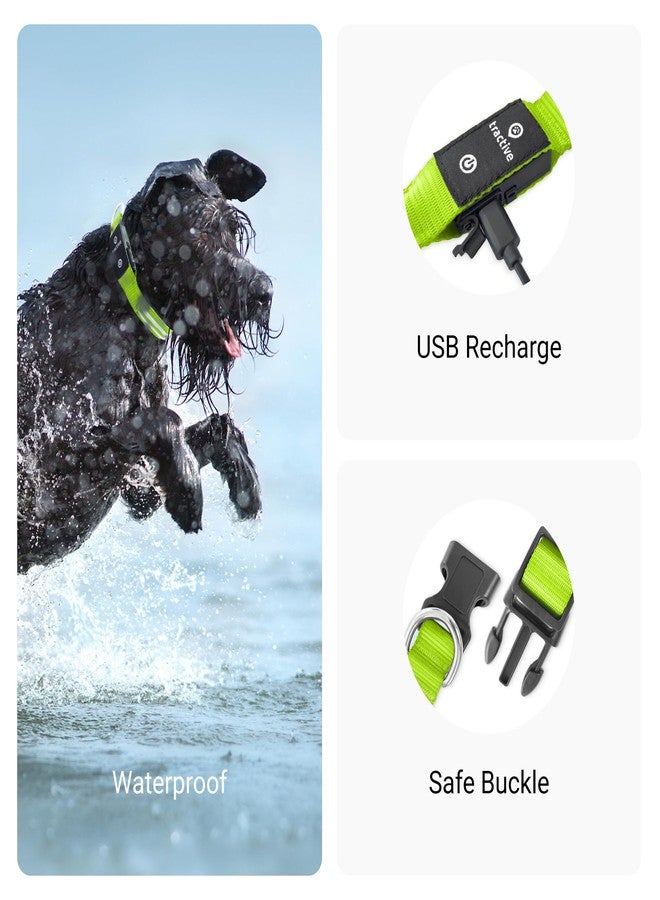 Tractive LED Light Up Dog Collar USB Rechargeable Waterproof (Green) - Image 4