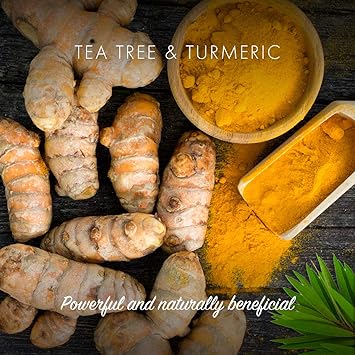 Friendly Soap Handmade Natural Tea Tree Turmeric Soap Case of 6 - Image 3