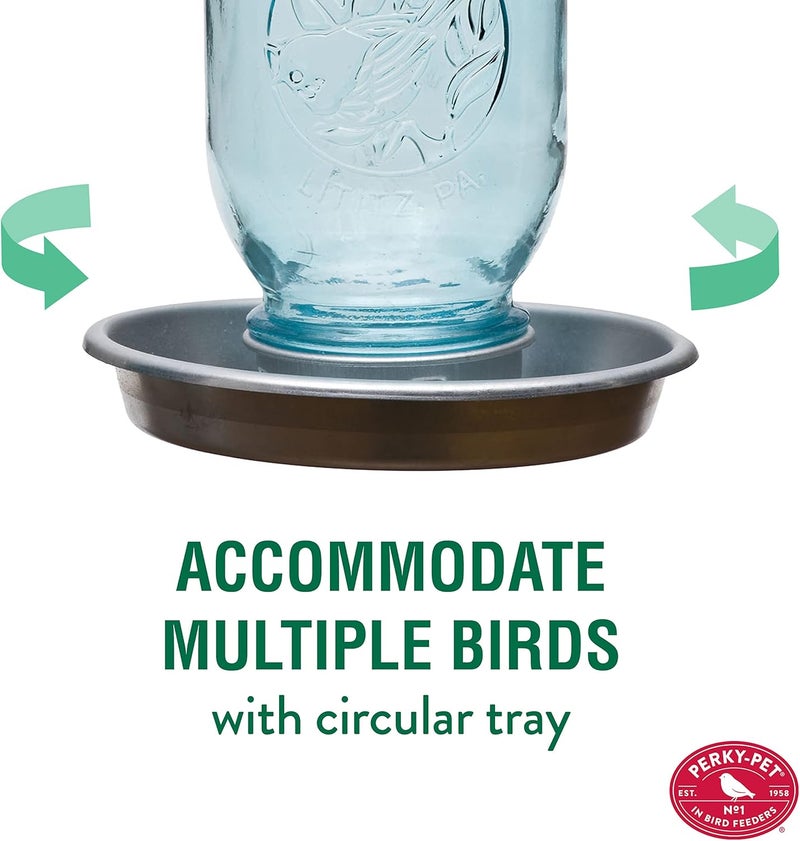 بيركي-بيت 1 Mason Jar Wild Bird Waterer 783، اللون الأزرق - Image 3