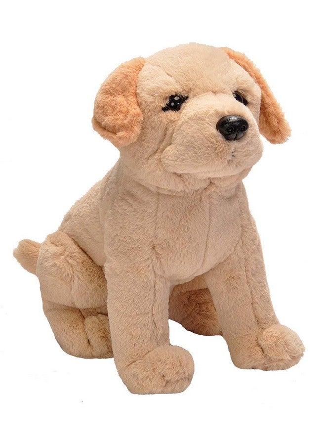 وايلد ريبابليك حيوان لابرادور من وايلد ريبابليك (12 بوصة، متعدد الألوان)