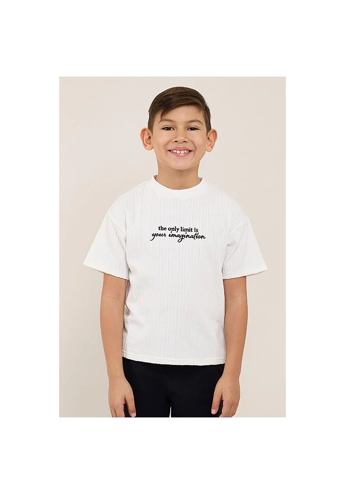 أر أند بي Embroidered T-Shirt with Crew Neck and Short Sleeves
