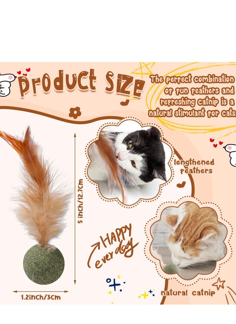 Y&D - 6 Pcs Interactive Feather Balls Toy for Cat，Catnip Ball Compressed Natural Catnip Lollipop Cat Kicker with Feathers Kitty - Image 1
