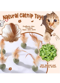 Y&D 6 Pcs Interactive Feather Balls Toy for Cat，Catnip Ball Compressed Natural Catnip Lollipop Cat Kicker with Feathers Kitty  - Image 5