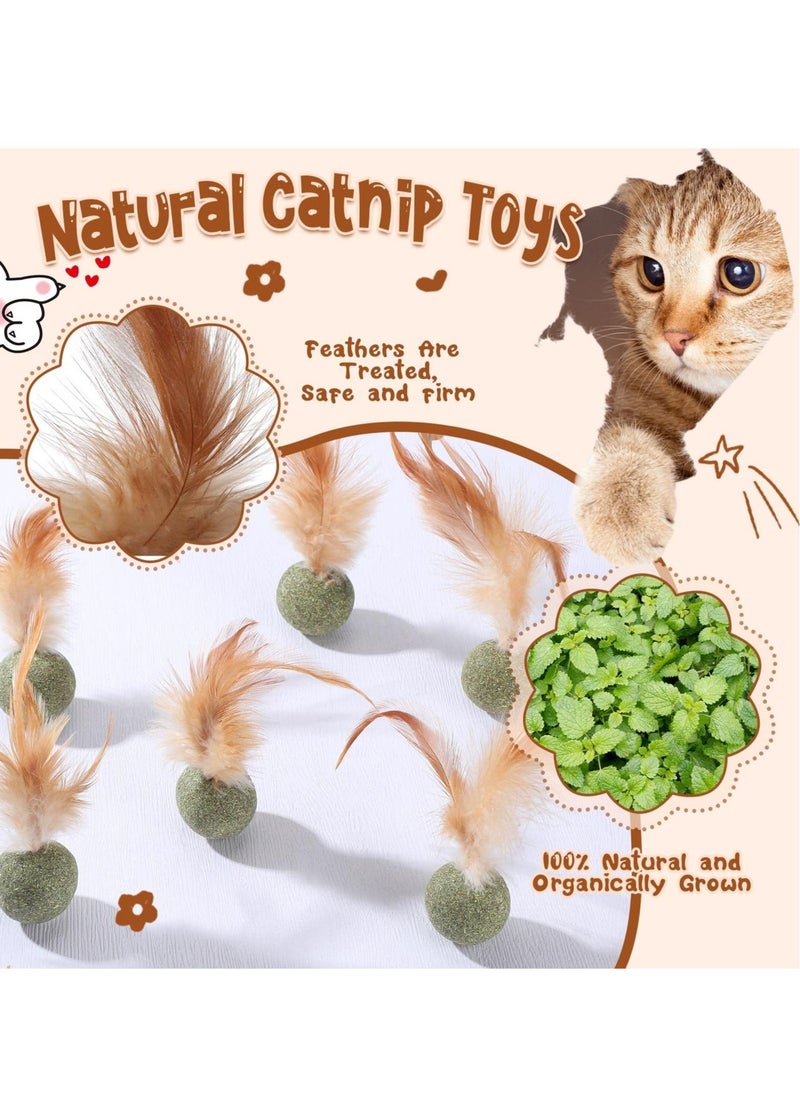 Y&D 6 Pcs Interactive Feather Balls Toy for Cat，Catnip Ball Compressed Natural Catnip Lollipop Cat Kicker with Feathers Kitty  - Image 5