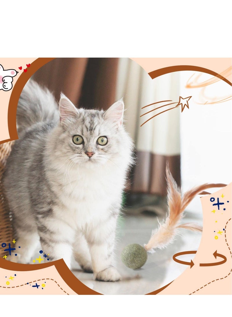 Y&D 6 Pcs Interactive Feather Balls Toy for Cat，Catnip Ball Compressed Natural Catnip Lollipop Cat Kicker with Feathers Kitty  - Image 2