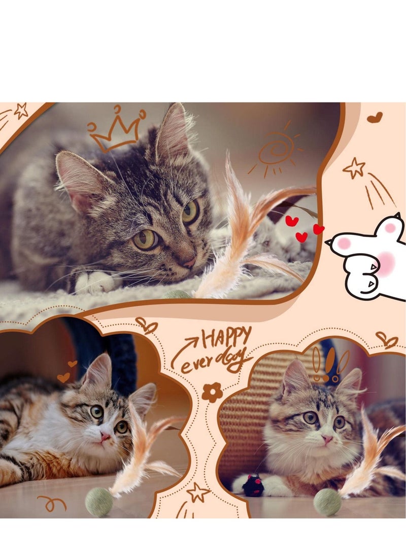 Y&D - 6 Pcs Interactive Feather Balls Toy for Cat，Catnip Ball Compressed Natural Catnip Lollipop Cat Kicker with Feathers Kitty - Image 1
