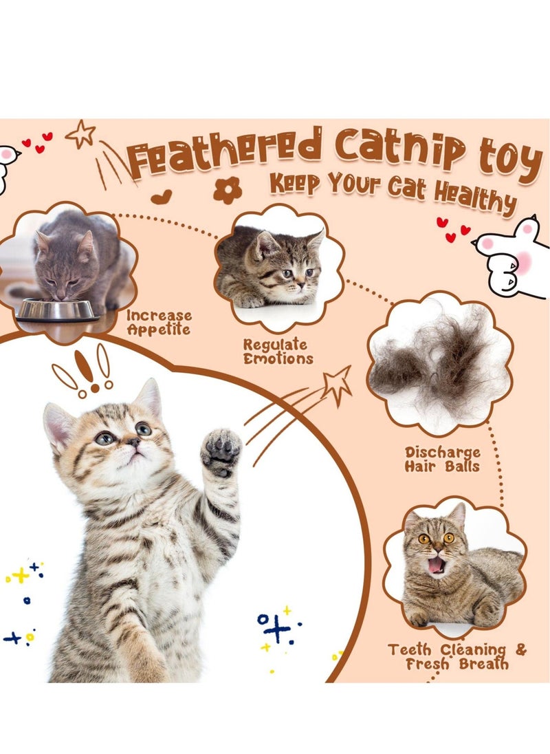 Y&D 6 Pcs Interactive Feather Balls Toy for Cat，Catnip Ball Compressed Natural Catnip Lollipop Cat Kicker with Feathers Kitty  - Image 4