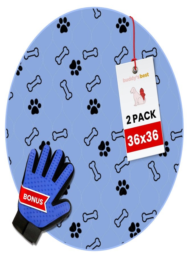 Buddy's Best Washable Pee Pads for Dogs - Medium (Round 36") - Ultra-Absorbent, Non-Slip, Ideal for Training, Incontinence - (2-Pack) + Bonus Grooming Glove - Image 1