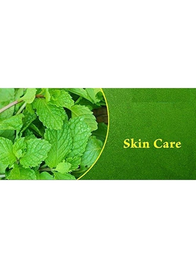 Online Quality Store Mint Powder For Face (Mint Powder For Skin Pudina Powder For Face Peppermint Powder) 100% Pure Offer For Today Only (200 Grams)  - Image 4