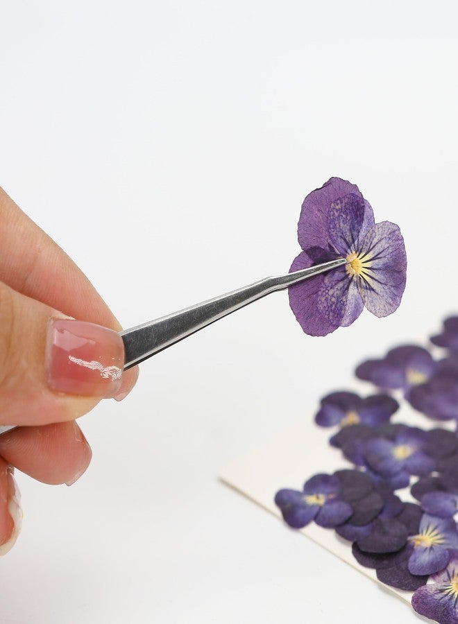 BuleVina 25PCS Dried Violet Flower, Natural Pressed Colorful Real Dry Petals Flowers for Mixed Epoxy Resin Jewelry Pendant Making, Floral DIY Nails Art, Crafts, Soap, Candle, NOT Edible - Image 3