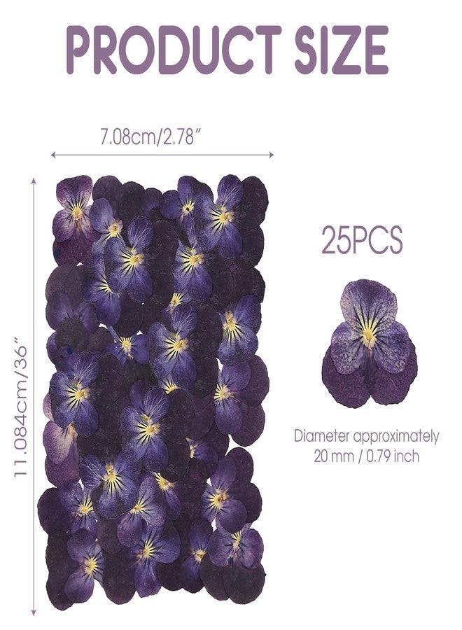 BuleVina 25PCS Dried Violet Flower, Natural Pressed Colorful Real Dry Petals Flowers for Mixed Epoxy Resin Jewelry Pendant Making, Floral DIY Nails Art, Crafts, Soap, Candle, NOT Edible - Image 2