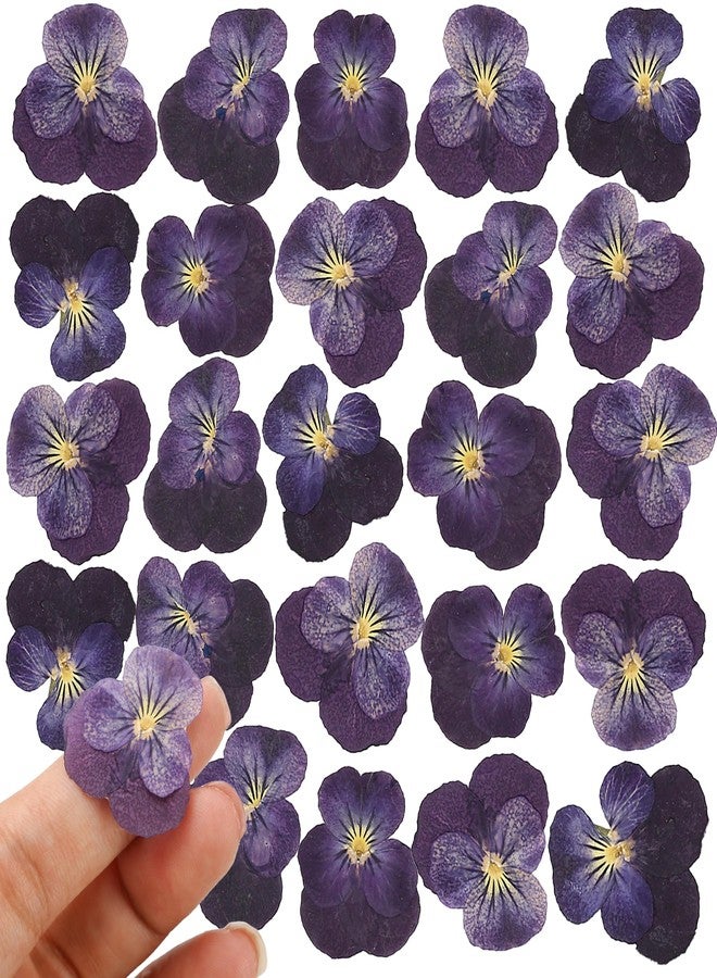 BuleVina 25PCS Dried Violet Flower, Natural Pressed Colorful Real Dry Petals Flowers for Mixed Epoxy Resin Jewelry Pendant Making, Floral DIY Nails Art, Crafts, Soap, Candle, NOT Edible - Image 1