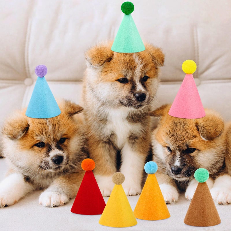 Hxezoc 10 Pcs Mini Birthday Party Hats Multicolor Lovely Cone Hats for Animals Stuffed Pets Birthday Holiday Accessories Decoration Supplies - Image 5