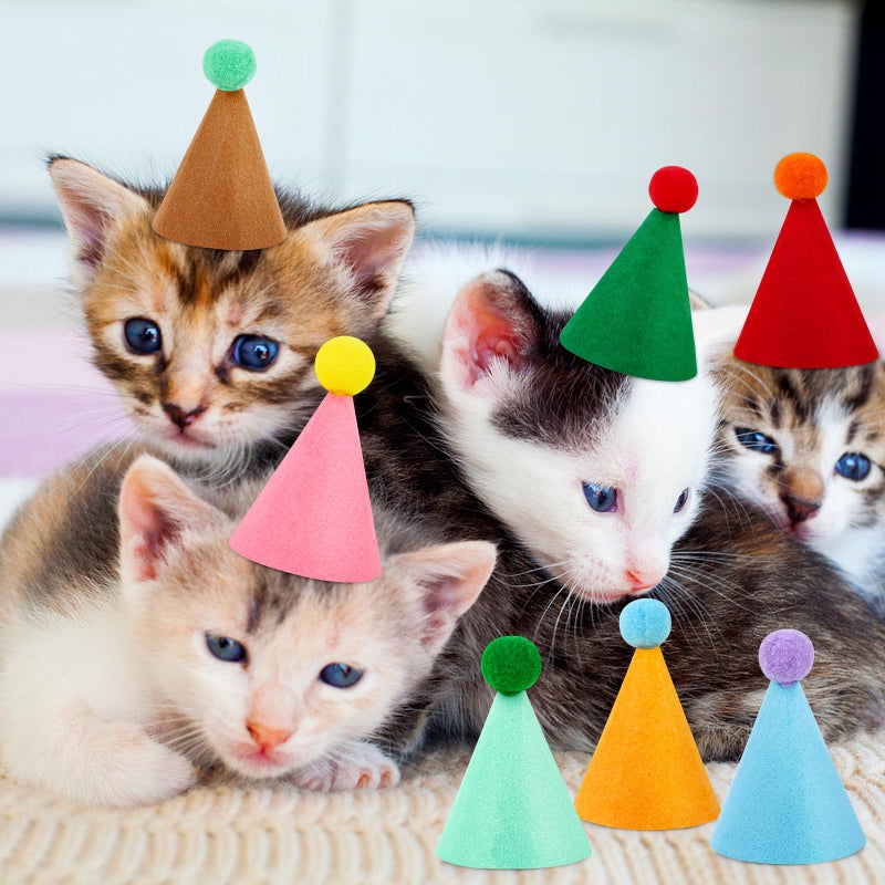 Hxezoc 10 Pcs Mini Birthday Party Hats Multicolor Lovely Cone Hats for Animals Stuffed Pets Birthday Holiday Accessories Decoration Supplies - Image 4