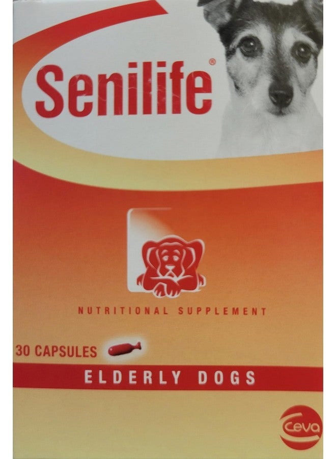 سيفا سيجمينسمارت سيفا لصحة الحيوان D59010B سينيلايف، مكمل غذائي للكلاب المسنة - 30 كبسولة/علبة - Image 1
