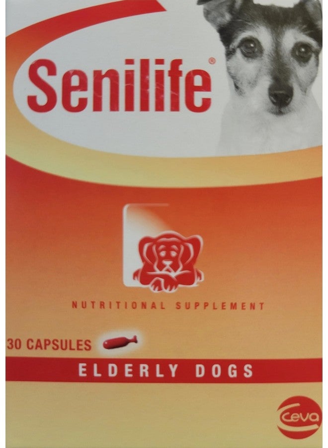 سيفا سيجمينسمارت سيفا لصحة الحيوان D59010B سينيلايف، مكمل غذائي للكلاب المسنة - 30 كبسولة/علبة - Image 4