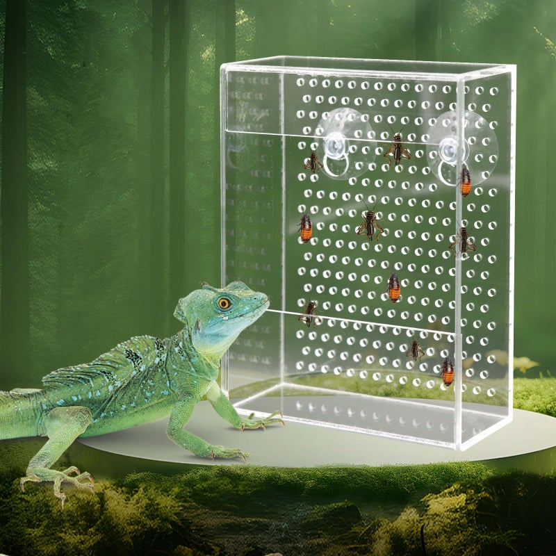 Neeenn Bearded Dragon Feeder, Chameleon Bug Bowl, Transparentk Acrylic Reptile Feeder Box, Wall-Mounted Insect Food Dish with Suction Cups, Tank and Aquarium Accessories for Lizard Bearded Dragon Gecko Frog - Image 1