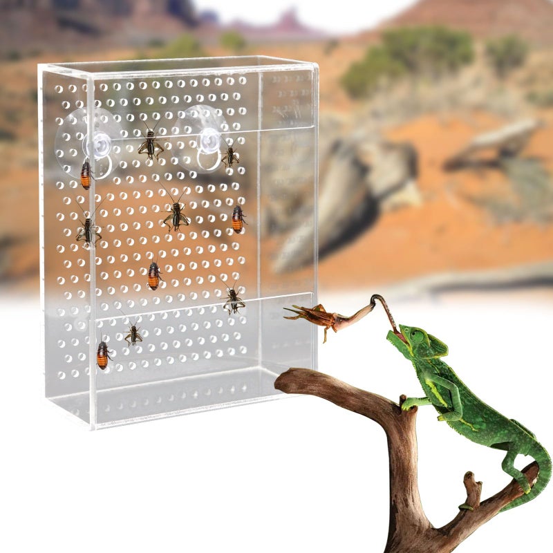 Neeenn Bearded Dragon Feeder, Chameleon Bug Bowl, Transparentk Acrylic Reptile Feeder Box, Wall-Mounted Insect Food Dish with Suction Cups, Tank and Aquarium Accessories for Lizard Bearded Dragon Gecko Frog - Image 4