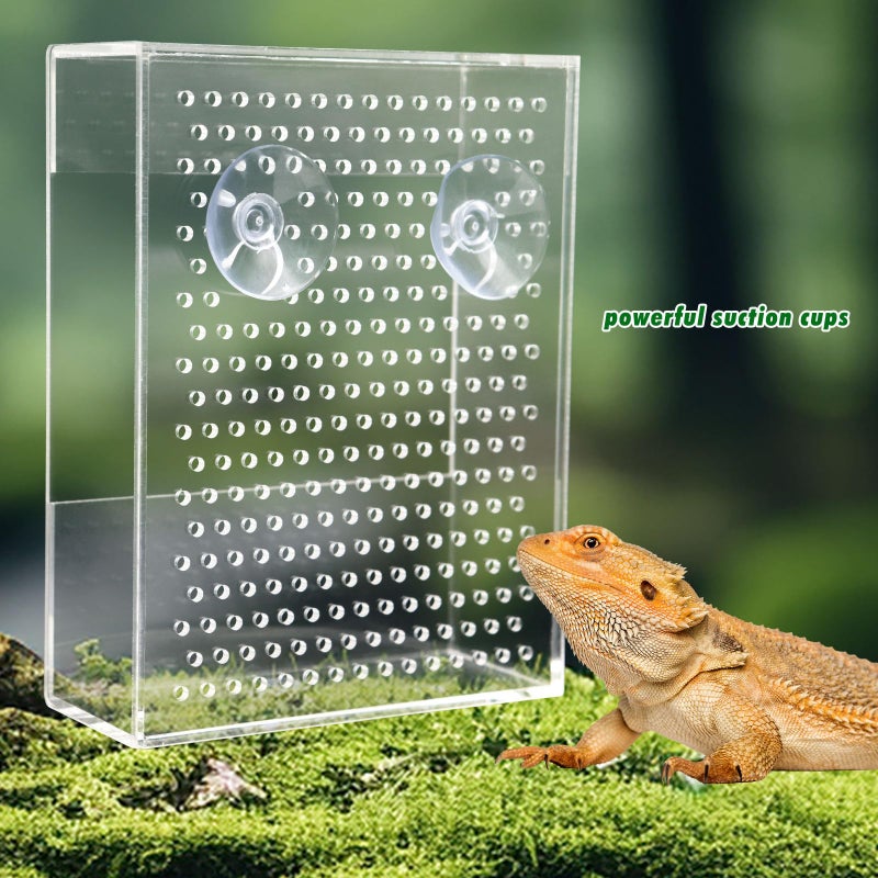 Neeenn Bearded Dragon Feeder, Chameleon Bug Bowl, Transparentk Acrylic Reptile Feeder Box, Wall-Mounted Insect Food Dish with Suction Cups, Tank and Aquarium Accessories for Lizard Bearded Dragon Gecko Frog - Image 5