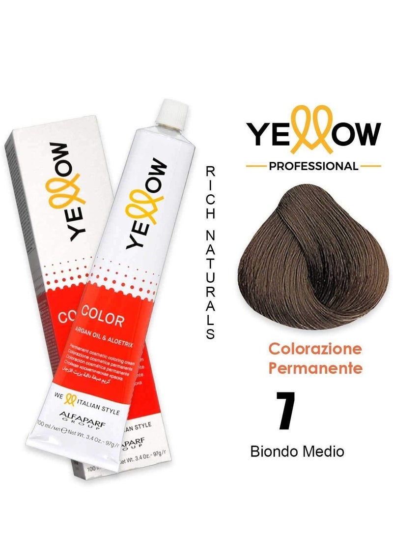 Alfaparf Yellow Color Permanent 7 Medium Natural Blonde 100 ml - pzsku/Z03BBDD172CC089A00CE4Z/45/_/1705775789/c23a0cdf-9c09-4cda-9abd-73c331922c37