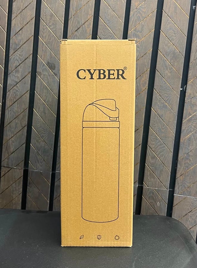 Cyber Insulated Stainless Steel Water Bottle With Straw For Sports Travel And School BPA Free Sports Water Bottle - Image 4
