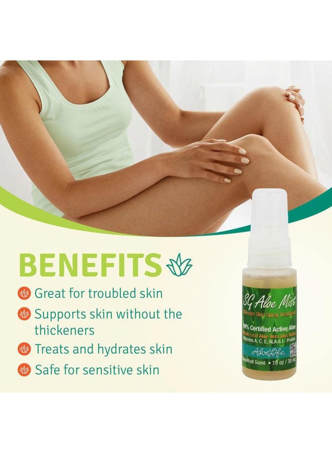 Aloe Life SG Aloe Mist Gel - Topical Skin Conditioner, Whole Leaf Aloe Vera Juice Concentrate, Contains Special Skin Actives, Vitamin A, C, & E, Helps Hydrate & Condition Your Skin-Hair (Single, 4 oz)  - Image 3