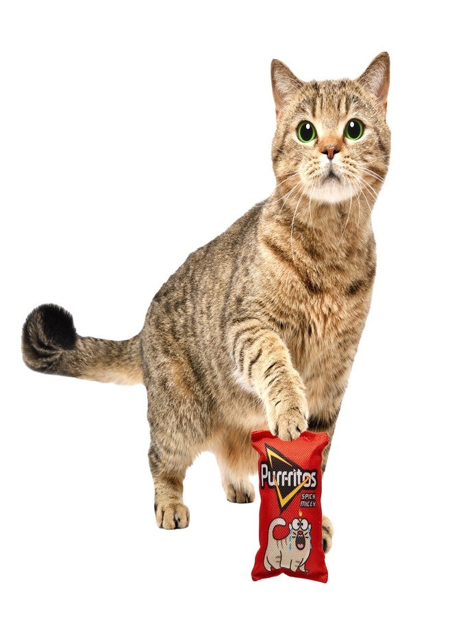 SPOT Ethical Products Fun Food Kitty Chips Assorted 5"