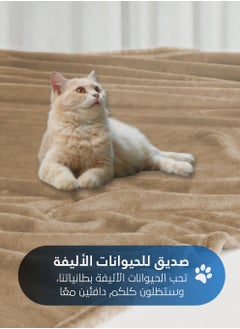 سيد المنسوجات المنزلية بطانية مخمل خفيفه بمقاس مزدوج، سلسلة مورا، 350 جم/متر مربع، 260 × 240 سم، صوف إضافي فائق النعومة لجميع فصول السنة، يستخدم كغطاء للسرير بطانيات .  - Image 4