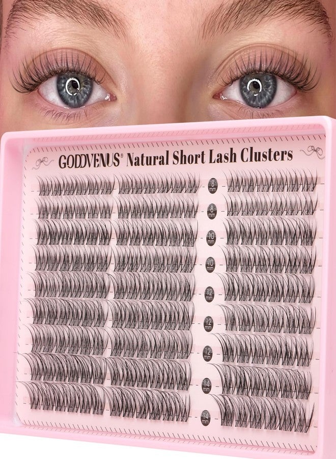 Goddvenus Short Lash Clusters 8-14mm Natural Wispy Eyelash Clusters, C Curl Individual Lashes, Fluffy False Eyelashes for DIY Cluster Eyelash Extensions for Everyday Wear - Image 1