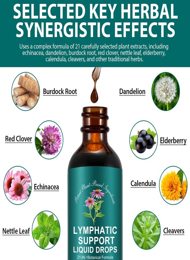 SDJUFEI 21-in-1 Lymphatic Drainage Drops， Lymphatic Support Liquid Drops with Turmeric, Elderberry & Dandelion, for Women & Men, 2 fl oz - Image 2
