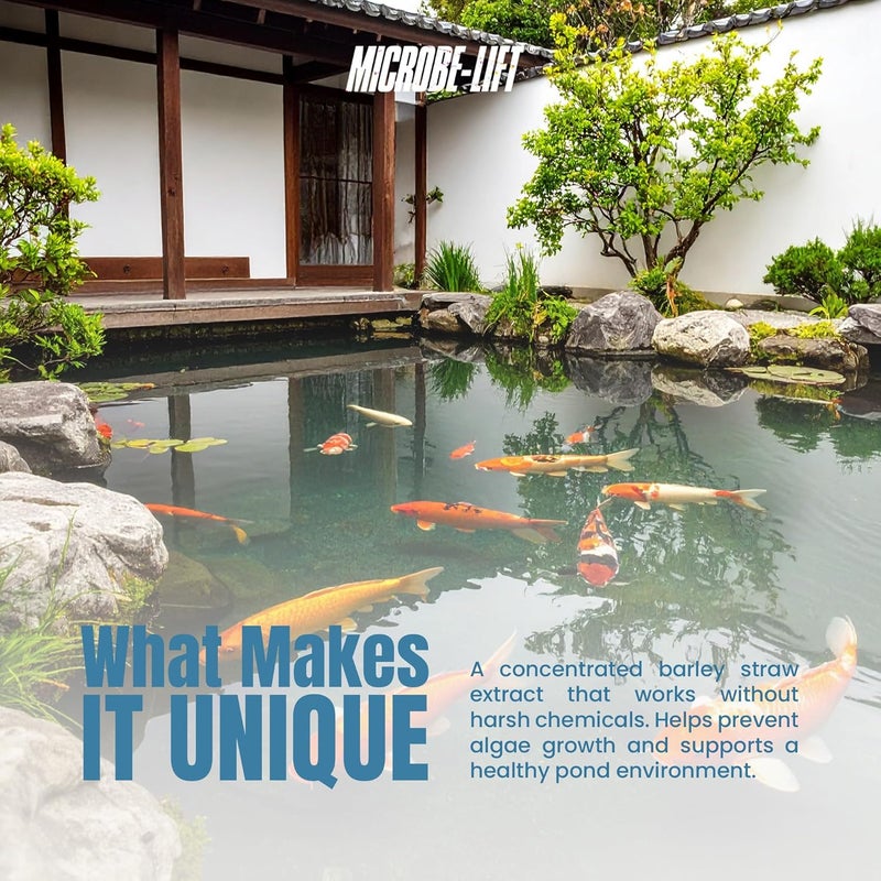 Microbe Lift MICROBE-LIFT Concentrated Barley Straw Extract for Ponds - 1 Gallon - Image 4