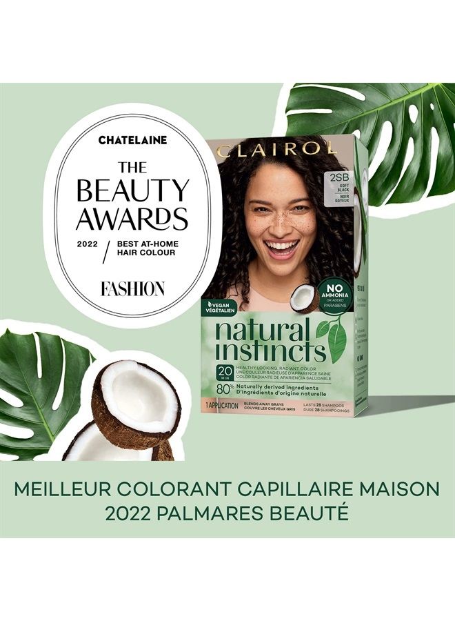 CLAIROL Natural Instincts Demi-Permanent Hair Dye, 6A Light Cool Brown Hair Color, Pack of 1 - Image 2