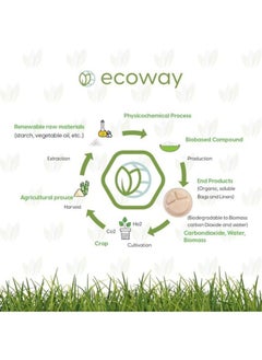 Ecoway [10 Inch 3-Compartment Round Plate Pack Of 10] White Color- Disposable Plates Made With Bagasse Sugar Canes Microwave & Freeze Safe, Compostable & Biodegradable Dinner Plates, Tableware - pzsku/Z03C395FC3C6E0B717571Z/45/_/1740465557/735164b9-7d64-450a-8047-8d6ec8ece543