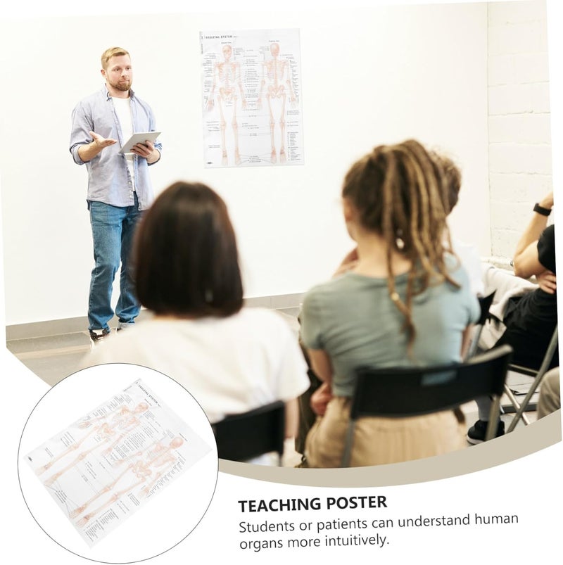 CONGARTENO Skeletal System Anatomy Poster 50x70cm (20x28in) Silk Cloth Hanging Wall Chart Muscle and Bone Structure Educational Scientific Poster for Classroom and Office Decoration - Image 3