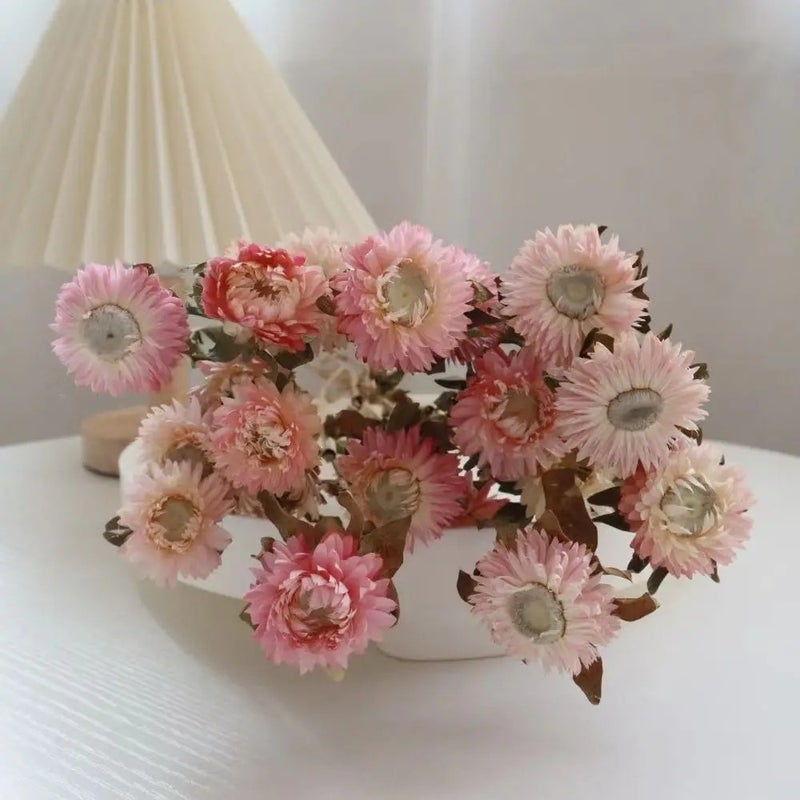 Bluejw Natural Rainbow Dried Chrysanthemum Bouquet - Eco-Friendly Home Decor, Lightly Scented Dried Plants for Lasting Beauty - Image 1