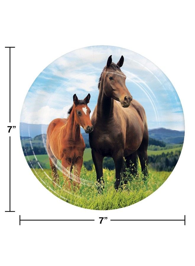 CREATIVE CONVERTING Wild Horse Dessert Plates 24 Ct - Image 3