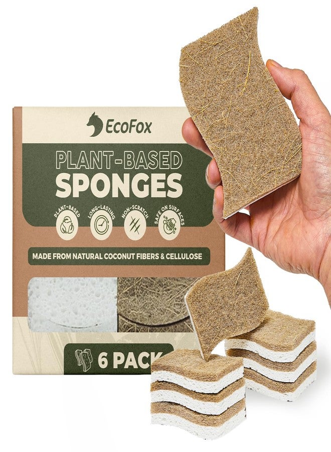 EcoFox Plant-Based Kitchen Sponges (6 Pack) | USDA Biobased Certified | FSC & PETA Approved | Natural Cellulose & Coconut Scrubber Sponge | S-Shaped Design | Eco-Friendly, Non-Scratch, Non-Toxic & Vegan - Image 1