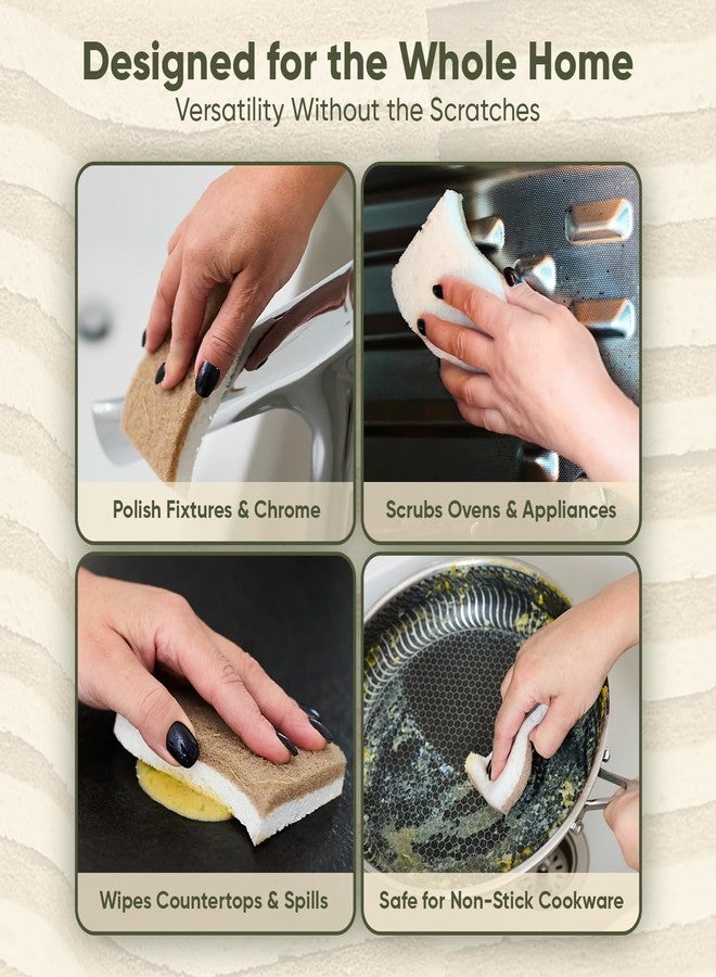EcoFox Plant-Based Kitchen Sponges (6 Pack) | USDA Biobased Certified | FSC & PETA Approved | Natural Cellulose & Coconut Scrubber Sponge | S-Shaped Design | Eco-Friendly, Non-Scratch, Non-Toxic & Vegan - Image 4